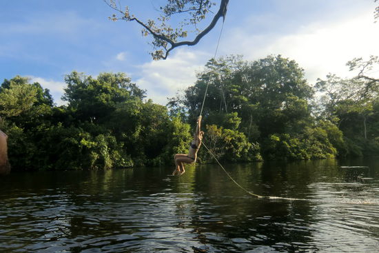 Lianenschwung von einem Baum