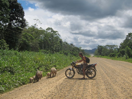 Haleluya (der Mann aus Israel heisst tatsächlich so).