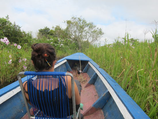 Mit einem 13m langen schmalen Boot ging es durch die Fluss- und Sumpflandschaft, immer auf der Suche nach Tieren und Abenteuern.