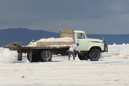 Von den geschätzten zehn Milliarden Tonnen Salz des Sees werden jährlich etwa 25.000 Tonnen abgebaut und in die Städte transportiert. Trotz der riesigen verfügbaren Mengen wird das Salz nicht exportiert, sondern nur in Bolivien verwendet.