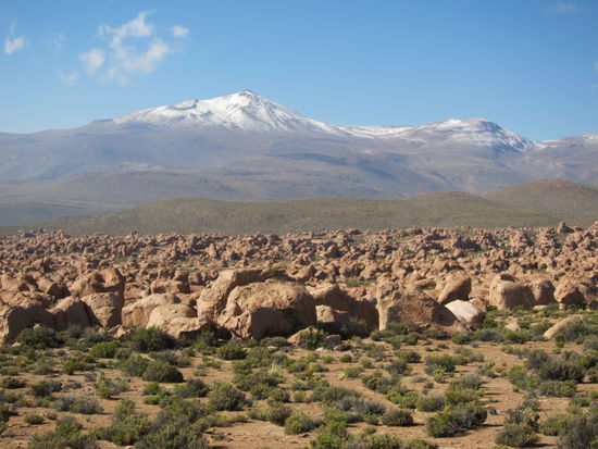 Valle de rocas: Die Gesteinsbrocken sind Überreste von Vulkanausbrüchen von einem der vielen Vulkane im Altiplano, die teilweise auch noch heute aktiv sind.