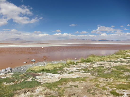 Die Laguna Colorada hat ihren Namen aufgrund der roten Färbung, die vom hohen Mineralstoffgehalt im Wassers und von einer vorherrschenden Algenart hervorgerufen wird.