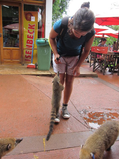 ...und sind dabei etwas zu aufdringlich!