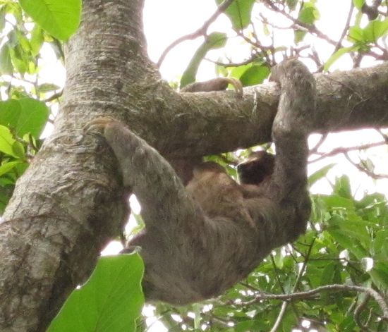 mit Baby auf dem Bauch