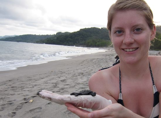 Vielleicht ist das die eine Schildkröte von tausend die überlebt?