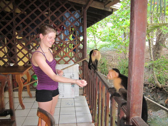 Bei der Fütterung...der eine Keks hat ihnen natürlich nicht gereicht, sie mussten die ganze Packung klauen