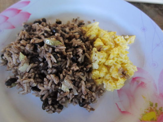 Nationalgericht und tägliches Essen: Gallo Pinto
Eine Köchin kocht 3 mal täglich für uns und es gibt wirklich jeden Tag zum Frühstück, Mittagessen und Abendessen Reis mit Bohnen. Je nach Tageszeit gibt es entweder Pfannkuchen, Tortillas, Gemüse, Käse oder sonst was dazu. Aber selbst wenn es mal Nudeln gibt, steht daneben immer ein Topf mit Reis und Bohnen.