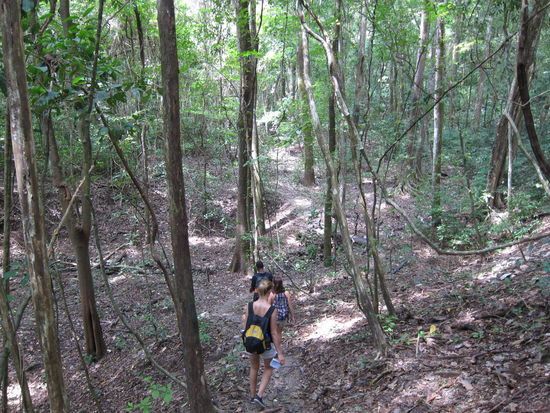 Man läuft 5 km auf und ab durch den Wald und erwartet hinter jedem Baum den Zielstrand, weil man das Meer schon rauschen hört