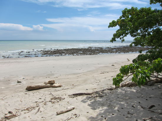 Leider konnten wir den Strand nur 2h geniessen (1h davon haben alle geschlafen), weil wir den gesamten Weg auch wieder zurück mussten