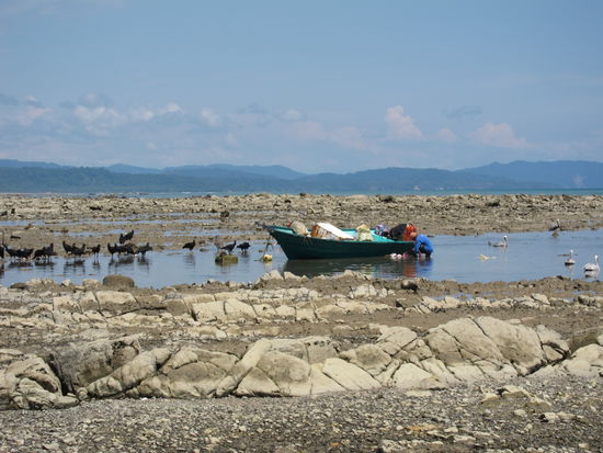 Um auf die Friedhofsinsel zu gelangen, muss man auf Ebbe warten