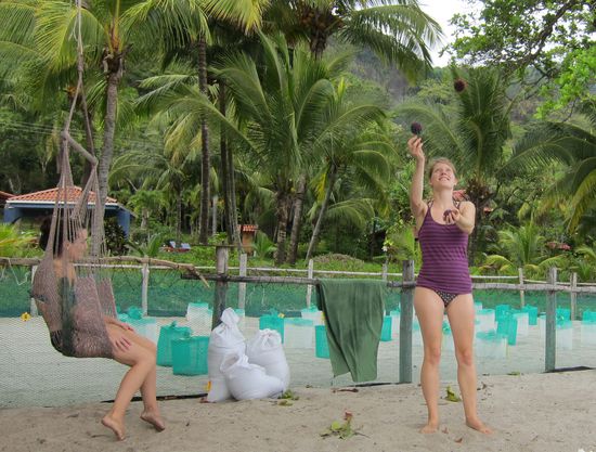 vor allem dort wo die anderen mit den Schildkröten arbeiten.
Ja ich kann nun jonglieren 