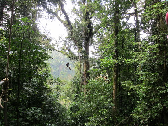 "Tarzan Swing": kurzer freier Fall und dann an einem Baum im großen Bogen schwingen.
Danach hab ich mich gefragt wie ich Bungee Jumping überleben soll...