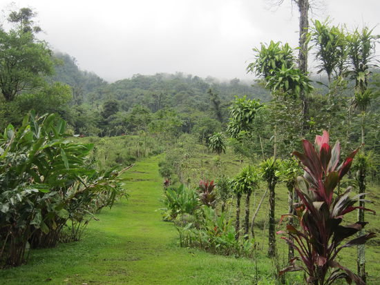 schöner breiter Weg auf den Vulkan