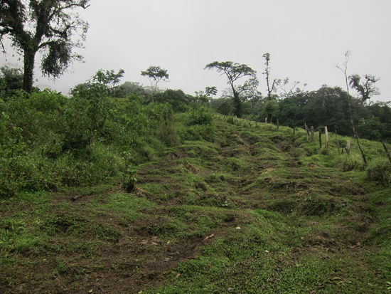 auch ein schöner Weg bergauf, bergab war aber alles nass und rutschig. Wir haben gezählt wie oft wir auf den Schlammhügeln ausgerutscht sind, Camille hat mit vier Mal gewonnen (oder auch verloren) 