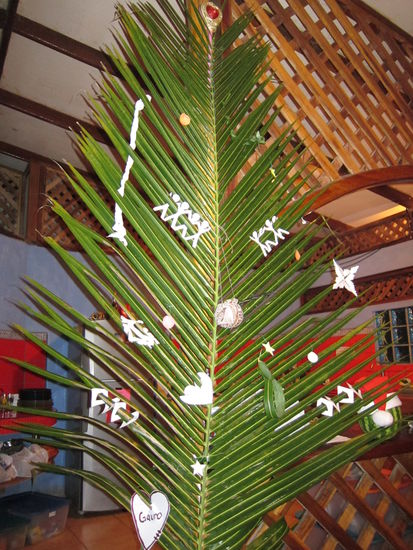 Um ein bisschen in Weihnachtsstimmung zu kommen, dient uns ein Palmenzweig als Weihnachtsbaum!