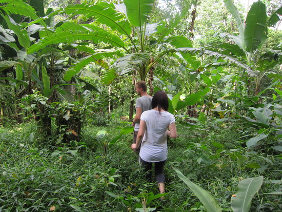 Um zu sehen, wo das indigene Volk wohnt, sind wir Freiwilligen mit 2 Jungs des Volkes einen Nachmittag in die Wildnis gegangen