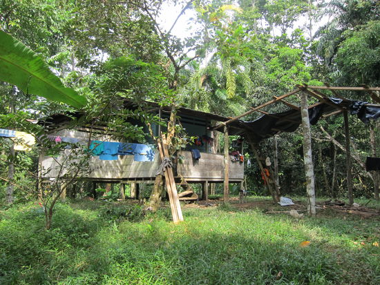 Die Häuser der Einheimischen sind im ganzen Wald verstreut und total versteckt und abgelegen. Da muss man sich schon auskennen, um ein Haus zu finden.