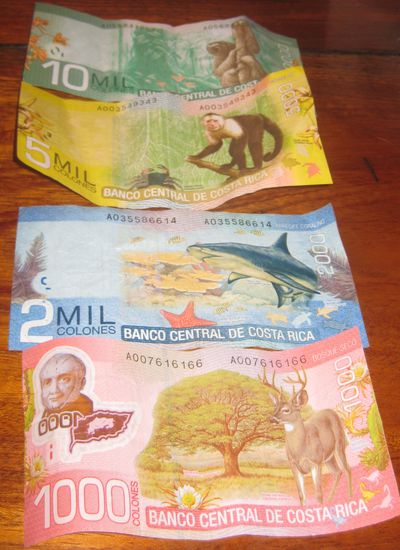 Und weil Ticos Tiere lieben, sind sie auf den Geldscheinen verewigt