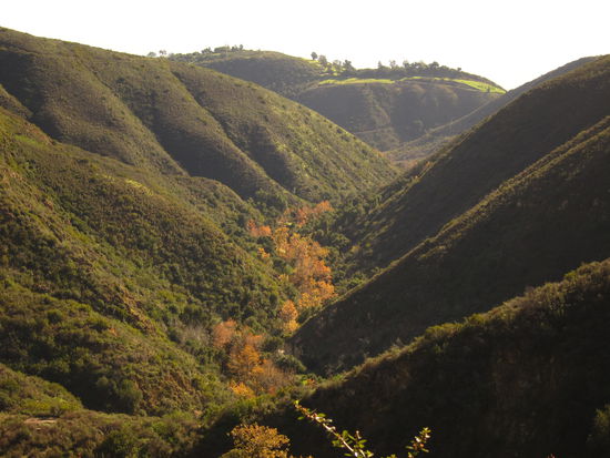 Solstice Canyon in den Malibu Hills (im Hintergrund ist eigentlich der blaue Pazifik, mein Foto hat daraus weiß gemacht)