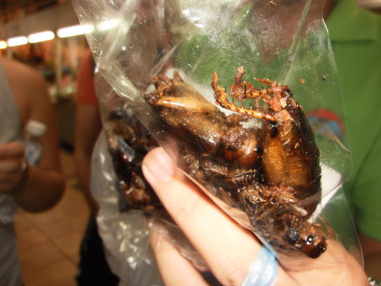 So, wie diese Viecher aussehen, koennte das eine Kakerlake sein. "Aen Gueate, aber ohni mi"! Einige von uns haben diese Dinger sogar gegessen, Pfuiiiii!!!!!!!!!!!