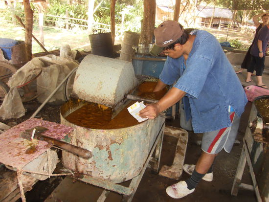 Nach der Mittagspause konnten wir in die Papierfabrik. Eigentlich ist es auch ein Unterstand, wo ein Mann den Dung der Elefanten wäscht, dann wird er (der Dung) 5 Std. ausgekocht, anschliessend eingefärbt und auf einem feinen Sieb an der Sonne getrocknet. Das Interssante dabei ist: Wenn man den Elefanten vorne Gras oder Stauden hinein schiebt, kommt hinten Cellulose heraus. Bei uns muss man die Cellulose teuer hinzu kaufen, die Elefanten machen das Tonnenweise. Wir durften uns im sieben üben. Nach einigen Anläufen ging es dann ganz gut. Nach 1 Stunde war auch das vorbei und wir warteten darauf, mit den Elefanten baden zu gehen. An diesem Tag war schon um 20.30 Uhr Nachtruhe angesagt. 
In dieser Nacht habe ich gar nicht gut geschlafen. Draussen hörte ich das Froesche quaken und unser Ventilator klickte dauern beim Drehen. So blieb ich ca. 3 Std. wach. Waehrend dieser Zeit schliefen dafür die Frösche.