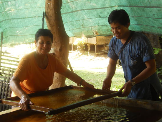 Wir durften uns im sieben üben. Nach einigen Anläufen ging es dann ganz gut. Nach 1 Stunde war auch das vorbei und wir warteten darauf, mit den Elefanten baden zu gehen. An diesem Tag war schon um 20.30 Uhr Nachtruhe angesagt. 
In dieser Nacht habe ich gar nicht gut geschlafen. Draussen hörte ich das Froesche quaken und unser Ventilator klickte dauern beim Drehen. So blieb ich ca. 3 Std. wach. Während dieser Zeit schliefen dafür die Frösche.