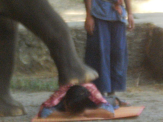 Ihr Gefühl kommt darin zum Ausdruck, wenn ein grosser oder auch kleiner Elefant dem Mahut, der vor ihm auf dem Boden liegt, mit dem Rüssel oder sogar mit dem Fuss auf den Hintern klopft, ohne ihn zu verletzen. Ich durfte mich an meinem letzten Tag im Camp selber auf den Teppich legen. Der Kleine war bedeutend gröber als die Fusstritte des Grossen.