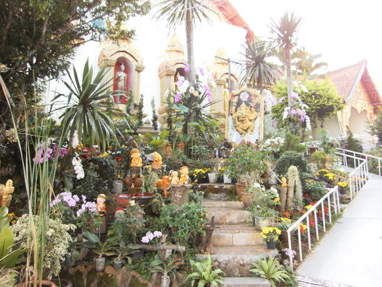 Nach 1 Stunde mussten wir wieder bei unserem Taxidriver sein, das war so mit ihm abgemacht. Also sassen wir wieder zu zehnt auf seinem Pickup und fuhren mit ihm in die warme Waschküche von Chiang Mai. Bei jedem Meter mit dem wir dem Tal näher kamen, wurde es auch immer wärmer und wärmer.
Als wir zurück in Chiang Mai waren, setzte uns das Taxi beim Nachtmarkt ab. Also waren wir gezwungen, abermals durch den Markt zu spazieren, und uns von dem grossen Angebot verführen zu lassen. Dieses Mal besuchte ich auch den Markt in den Nebenstrassen und wurde schnell fündig. Dort sind die Sachen um einiges billiger, als auf der Hauptstrasse. Diese Gelegenheit wollte ich nicht ungenutzt lassen und besorgte mir noch einige Geschenke für die lieben Daheim gebliebenen. Beim vereinbarten Ort trafen wir uns wieder und begaben uns gerne zurück in unsere Unterkunft. Schliesslich musste ich noch diesen Bericht fertig schreiben, bevor ich wieder ins Elefanten Camp übersiedle.
Der Bericht über die vergangene Woche im Elefanten Camp ist noch nicht ganz fertig. Die Fortsetzung könnt ihr in einer Woche lesen.