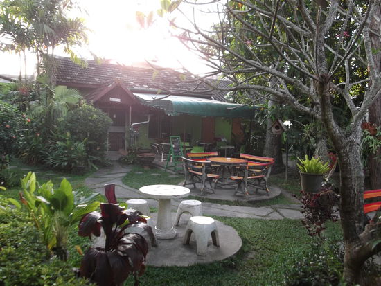 Das Guesthaus heisst "Ban Bua"
Dort angekommen, fragte ich an der Reception nach einem Zimmer, und die Wirtin gab mir ein sauberes Doppelzimmer für umgerechnet Fr. 12.50. Es ist im Zentrum, und doch sehr ruhig gelegen.
Dann machte ich mich also auf, um zuerst Geld abzuheben, damit ich mein Mittagessen auch bezahlen konnte. Beim ersten Automaten sah ich, dass er 5 % Spesen verlangte. Das war aber gar nicht üblich, und so zog ich weiter zum nächsten. Dieser berechnete dann die im Reiseführer angegebenen Fr. 4.50. Damit war ich auch einverstanden und bezog mein Geld. Danach sah ich mich nach ener Verpflegungstätte um und kam an einem italienischen Restaurant vorbei. Ich hatte unheimlich Lust nach einem guten Stück Brotteig oder etwas Ähnlichem und studierte die Speisekarte. Schlussendlich entschied ich mich für eine Pizza Quatro Stazione und dazu eine Flasche Mineral. Das Restaurant sah sehr sauber aus. Die Pizza wurde sogar in einem Holzofen gebacken, und schmeckte ausgezeichnet. Gesättigt verlangte ich die Rechnung und stellte erstaunt fest, dass ich während meinem ganzen Thailand Aufenthalt noch nie soooo viel Geld ausgegeben hatte für ein einziges Essen nämlich ganze Fr. 10.--. Reue, nützt aber nicht nichts, denn die Pizza ist schon gegessen. Dafür bekam die Pizzajola noch ein schönes Trinkgeld, was sie bestimmt sehr freute. 
Gestärkt machte ich mich auf die Suche nach einem Fotogeschäft und wurde auch fündig. Ich habe mich für eine Fuji-Kamera entschieden. Hoffentlich ist das kein schlechtes Omen, und sie geht nicht gleich selber futschi. Für Fr. 110.-- kann man nicht viel erwarten. Mal sehen, was sie in der Schweiz kosten würde.
Anschliessend ging ich zurück in meine Pension um mich zu duschen. Chiang Rai ist eine kleine Stadt mit ca. 41'000 Einwohnern, liegt auf 580 M ü M. im Norden von Thailand. Das Klima ist bedeutend angenehmer als in Chiang Mai. Am Abend kühlt es richtig ab, und man friert beinahe, wenn man mit einem Ärmellosen T-Shirt unterwegs ist. 
So nun hatte ich wieder einmal eine Thai-Massage verdient und machte mich auf die Suche danach. Erstaunt stellte ich fest, dass hier die Preise um Einiges höher liegen als in Chiang Mai. Hier gibt es einen Salon neben dem Anderen. Ich frage mich nur, wie die überleben können.
Die Thai-Frau hat mich wieder ziemlich geplagt, aber es war auch bitter nötig. Ich fühle mich danach immer viel leichter und beweglicher. .
Nach der Massage besuchte ich noch den Nachtbazar. Diese Märkte sind eigentlich immer dasselbe. Nur in Chiang Rai hat es bedeutend mehr handgemachte Sachen von den Hilltriben. (Bergdörfern). Sie sind  günstig zu haben und als kleine Geschenke sehr geeignet. Und schon geht wieder ein erlebnisreicher Tag zu Ende.
Am Sonntag Morgen setzte ich mich in den schönen Garten zum Frühstücken. Am Nebentisch hörte ich, dass dort deutsch gesprochen wurde. Ach, war das schön, wieder einmal in der Muttersprache reden zu können. Es war ein deutscher Paar, ungefähr in meinem Alter, die während eines Jahres auf einer Weltreise waren. Sie haben in Chiang Rai 2 Roller gemietet und erobern damit die weitere Umgebung von Chiang Rai. 
Ich habe dann nach dem Frühstück den Busterminal nochmals aufgesucht, um mich zu vergewissern, dass ich am Montag Morgen mit dem Koffer im Schlepptau, sicher dort hin finde. Daraufhin orderte ich einen Tuk-Tuk-Fahrer und liess mich zum weissen Tempel bringen. Dort hat er 1 Std. auf mich gewartet und ich habe mir in Ruhe diese wunderschöne Anlage angesehen.