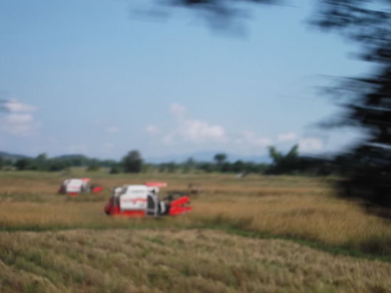 Da war sogar ein Mähdrescher an der Arbeit.