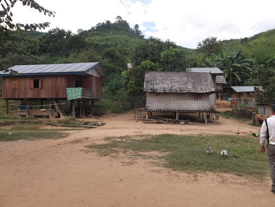 Nach der Ruhepause besuchten wir ein Kamu-Dorf. Unser Boot legte an und wir stiegen einen  steilen Hang hinauf zum Dorf. Eigentlich waren es nur einige Hütten und unser Guide, der selber ein Khamu ist hat uns einiges über diese Volksgruppe erzählt. Die Khamu sind bereits vor einigen Jahrhunderten aus Kambodscha in Laos eingewandert. Hier in Laos gibt es unzählige verschiedene Ethnien, wovon einige kein Laotisch verstehen. Vor allem die ältere Generation spricht nur in ihrer angestammten Sprache. Die Kinder lernen inzwischen in der Schule laotisch. Auch hier sind es die Frauen, die die schwere Arbeit verrichten und die Männer sitzen herum, flechten Körbe, gehen fischen oder warten einfach, bis die Frauen sie zum essen bitten. Ein richtiges Männer-Paradies! In diesem Dorf wohnen 65 Familien und im ganzen ca. 500 Personen. Dazu gehören viele kinderreiche Familien mit bis zu 10 Personen.