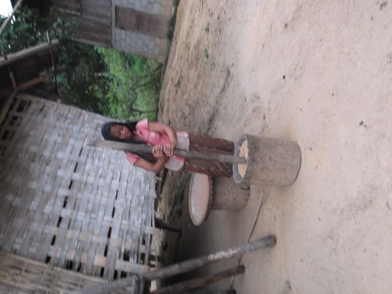 Ein Khamu Mädchen beim Stickireis stampfen.
(Leider kann ich das Bild in diesem Programm nicht drehen