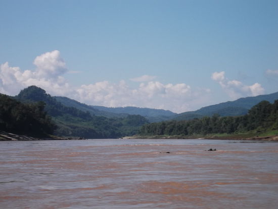 Die Wunderschöne Flusslandschaft. Ringsum grün und hügelig. Beinahe wie ind der Schweiz. Der Mekong fliesst in dieser Jahreszeit ungefähr einen mittleren Wasserstand. Bei Hochwasser kann er gut 10 m steigen. Irgendwo am Ufer, unterhalb des Waldes aber bestimmt 20 m vom jetzigen Ufer entfernt, sahen wir ein gestrandetes Schiff. Das muss vom Hochwasser dorthin befördert worden sein.