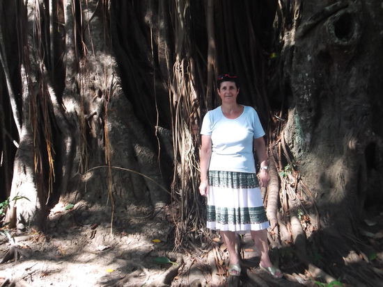 Solche wunderschöne Bäume hat es im Park stehen, mit Wurzeln die herabwachsen. Nur durfte ich nicht lange dort stehen bleiben, weil mich sonst die roten Ameisen aufgefressen hätten. Und ich möchte ja noch so viel sehen auf dieser schönen Welt.