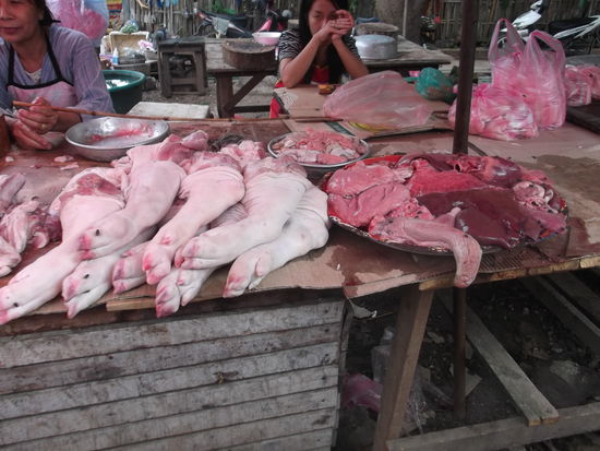 So wird hier Fleisch angeboten. Auf der Leber haben sich schon Fliegen nieder gelassen. Fleisch auf diese Weise angeboten? Nein Danke! Da vergeht einem der Appetit nach diesem Lebensmittel.
An einem Stand auf dem Lebensmittelmarkt musste ich einfach stehen bleiben und wollte genau wissen, was hier geschieht. Zuerst sah ich grosse Frösche auf dem Tisch liegen, nachher erst bemerkte ich, dass auf einem Haufen am Boden noch mehrere davon lagen. Als die Frau einen aufnahm und ihn auf den Rücken legte, sah ich wie er seine Beine bewegte. Das kann doch nicht wahr sein dachte ich, und schaute zu wie sie dem Frosch bei lebendem Leibe den Bauch aufschnitt. Sie entnahm dem Bauch die Eingeweide und legte das Herz offen hin. Das sollte doch einfach verboten sein. Wer isst denn so etwas.