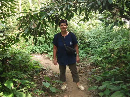 Dieser Weg führte in einen wilden Dschungel wo es erfrischend kühl war. Wir folgten dem Weg und schon bald sahen wir das erste Bärengehege. Darin streiften 2 Bären in ihrem langsamen Trott durch ihr Gelände. Einige Schritte weiter waren noch mehr Tiere zu sehen. Im ganzen leben hier 25 asiatische Bären. Die asiatischen Bären erkennt man an ihren weissen Kragen. Sie sind schwarz und zottelig, Der Pelz um ihren Kopf ist dicht und sieht aus wie eine Mähne.
