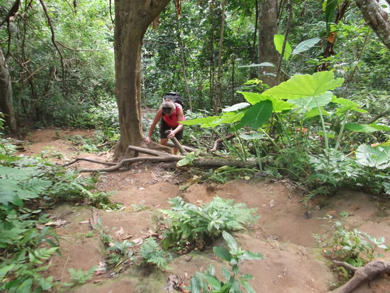 Über einen steilen Bergweg konnte man auch noch ganz hinauf zum oberen Rand des Wasserfalles klettern. Uta wollte es sich nicht nehmen lassen und wagte sich mit den Slippern dort hinauf. Ich hatte vorsichtshalber geschlossene Schuhe angezogen und hatte dabei keine Probleme beim Auf- und Abstieg. Uta hatte aber sichtlich zu kämpfen. Da sie sich solche sportlichen Anstrengungen nicht gewohnt war musste sie ab und zu eine Pause einschalten. Ich als Berggeiss war wieder einmal n meineim Element. Zu Oberst angelangt, waren verschiedene Bäche zu überqueren und das ging nur barfuss. Ich rollte also meine Hosenbeine hoch und watete ein Stück weit in den Bach hinein. Als es aber immer tiefer wurde, wählte ich den Rückzug. Es war auch nicht viel zu sehen, und so liess sich auch Uta zum Rückzug bewegen. Nun kam aber der Abstieg. Die Erde war nicht schlipfrig und so hielten meine Schuhe gut. Uta zog es vor, barfuss den Abstieg zu bewältigen. Bei nassem Boden wäre man wahrscheinlich gar nicht soweit gekommen.
