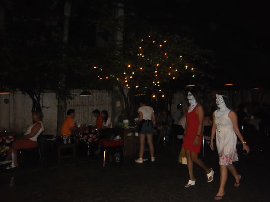 Hier noch 2 Schleier-Eulen, auf dem Weg zur Party.