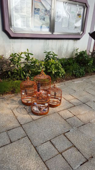 Vogelkäfige zu verkaufen