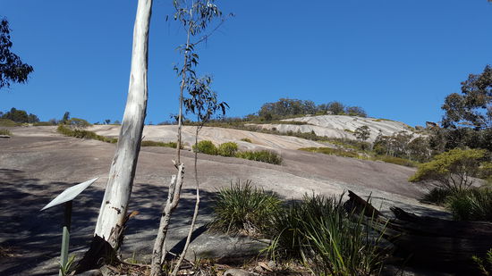 So schaut der Bald Rock von unten aus