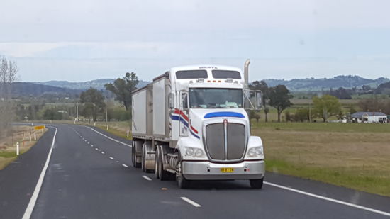 Solche und noch viel größere Ungetümer sind hier unterwegs
