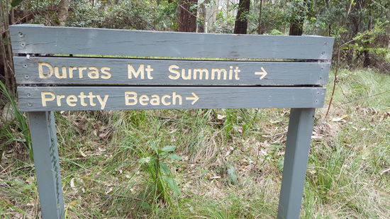 Die Abzwegung zum Mt Durras