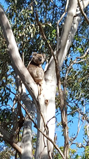 Der hat sich aber schön positioniert