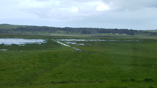 Seen in den Wiesen vom langen Regen