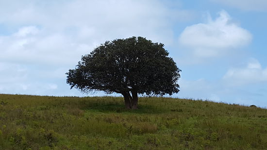 Auf dem Weg zum Leuchtturm