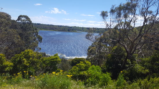 Einen Blick auf den See.