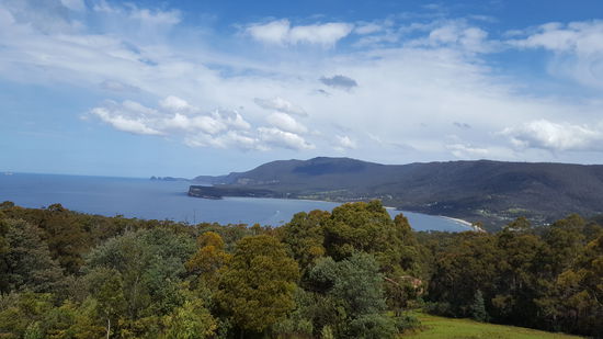 Bewaldete Hügel und Meer