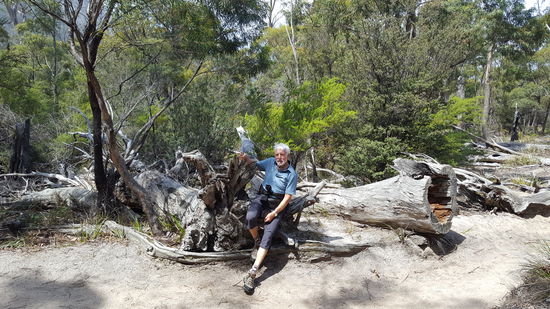 Kurze Ruhepause auf Baumleichen