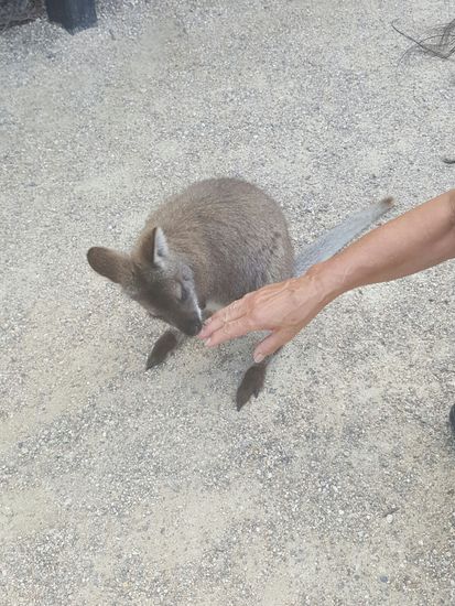 Überhaupt nicht scheu