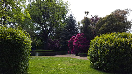 In  einem wunderschönen Park